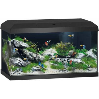 COCO Juwel - Aquarium Starter Primo 60 Black 2.0 Led 61x31x37cm - 60ltr COCO Juwel - Aquarium Starter Primo 60 Black 2.0 Led 61x31x37cm - 60ltr