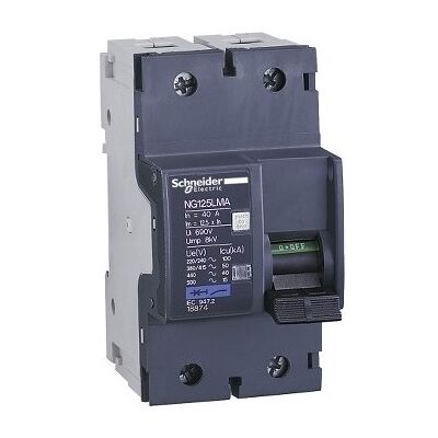 Schneider - 18875 Disyuntor Motor Ng125lma 63a 2p 2d Schneider - 18875 Disyuntor Motor Ng125lma 63a 2p 2d