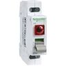 Interruptor con piloto 2P 32A 250V Schneider Electric A9S61232