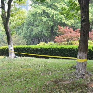 Slackline 15 M X 50 Mm 150 Kg Amarillo Vidaxl Slackline 15 M X 50 Mm 150 Kg Amarillo Vidaxl