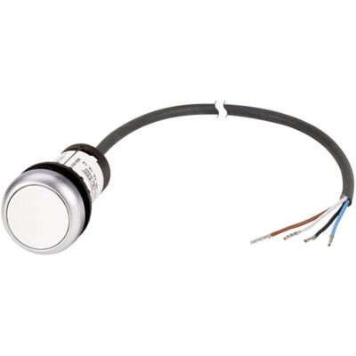 Eaton C22-D-W-K10-P62 Botón pulsador plano blanco - Interruptor y botón Eaton C22-D-W-K10-P62 Botón pulsador plano blanco - Interruptor y botón