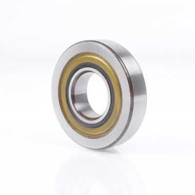 Rodamiento De Bolas Lr5005 Npp 16mm Exterior 52mm Interior 25mm Soporte: Rodamiento De Rodillos Acero (100cr6) Zen Rodamiento De Bolas Lr5005 Npp 16mm Exterior 52mm Interior 25mm Soporte: Rodamiento De Rodillos Acero (100cr6) Zen
