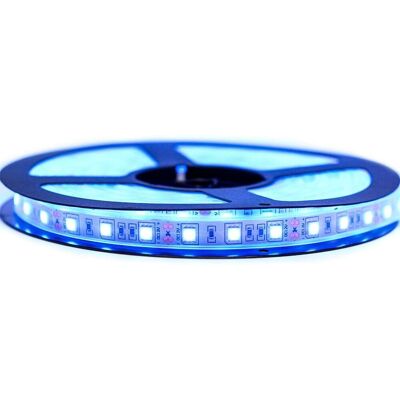 SYSLED - 5050 60LED 5m - Azul Eléctrico - IP67 - Cinta LED SYSLED - 5050 60LED 5m - Azul Eléctrico - IP67 - Cinta LED