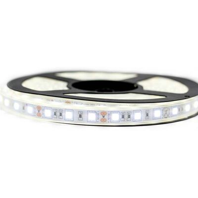 SYSLED Kit De Cinta Profesional 5050 - 60 Leds/m - 5 O 10 Metros A Su Elección - Blanco Frío Impermeable (ip67) Longitud: 10 Metros (2x5m) - Transformador: Fuente De Alimentación 12v/8a SYSLED Kit De Cinta Profesional 5050 - 60 Leds/m - 5 O 10 Metros A Su Elección - Blanco Frío Impermeable (ip67) Longitud: 10 Metros (2x5m) - Transformador: Fuente De Alimentación 12v/8a
