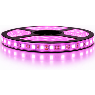 Sysled - Kit De Cinta Profesional 5050 - 60 Leds/m - 5 Metros Rosa Anti-salpicaduras (ip65) Longitud: 5 Metros - Transformador: Fuente De Alimentación Incluida Sysled - Kit De Cinta Profesional 5050 - 60 Leds/m - 5 Metros Rosa Anti-salpicaduras (ip65) Longitud: 5 Metros - Transformador: Fuente De Alimentación Incluida