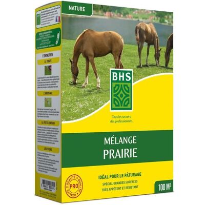 Mezcla Prairie BHS 1kg para áreas grandes - Semillas de césped Mezcla Prairie BHS 1kg para áreas grandes - Semillas de césped