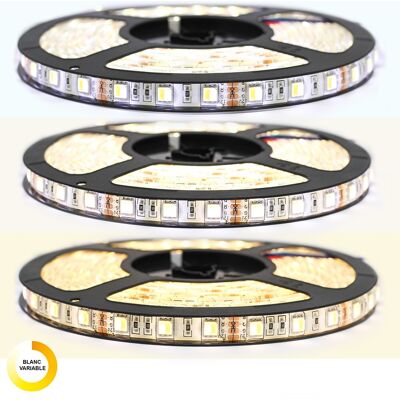 Sysled - Kit De Cinta Profesional 5050 - 60 Leds/m - 5 Metros Anti-salpicaduras (ip65) Variable Blanca Con Controlador Y Transformador Longitud: 5 Metros - Transformador: No Se Incluye La Fuente De Alimentaci Sysled - Kit De Cinta Profesional 5050 - 60 Leds/m - 5 Metros Anti-salpicaduras (ip65) Variable Blanca Con Controlador Y Transformador Longitud: 5 Metros - Transformador: No Se Incluye La Fuente De Alimentaci