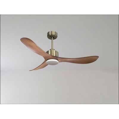 KLASSFAN Modulo Latino Iii - Super Destratificateur Et Ventilateur Dc 132 Cm Laiton Pales Bois Noir Idéal 26 À 40 M² KLASSFAN Modulo Latino Iii - Super Destratificateur Et Ventilateur Dc 132 Cm Laiton Pales Bois Noir Idéal 26 À 40 M²