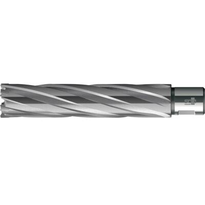 Broca de núcleo BDS - Weldon HM - Eje de 19mm - 49x110mm Broca de núcleo BDS - Weldon HM - Eje de 19mm - 49x110mm