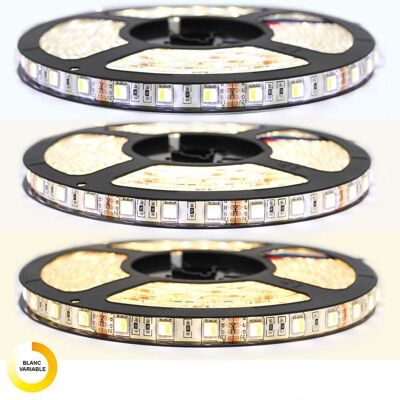 Sysled - 5050-60LED/m-5m - Blanco ajustable - IP65 - Tira LED Sysled - 5050-60LED/m-5m - Blanco ajustable - IP65 - Tira LED