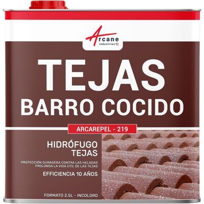 ARCANE INDUSTRIES Hidrófugo Para Tejas, Incoloro Para Tejas De Terracota - Arcarepel 219 ARCANE INDUSTRIES Hidrófugo Para Tejas, Incoloro Para Tejas De Terracota - Arcarepel 219