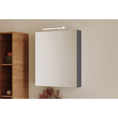 Riho Armario Con Espejos, 1 Puerta, 60x13,8x70cm, F001480ant Riho Armario Con Espejos, 1 Puerta, 60x13,8x70cm, F001480ant