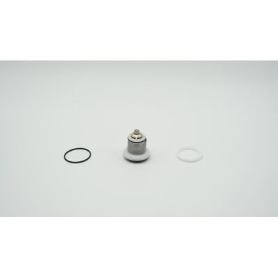 Bwt Cartucho De Válvula Para Módulo Dr Tamaño 1, 1-902255 Bwt Cartucho De Válvula Para Módulo Dr Tamaño 1, 1-902255