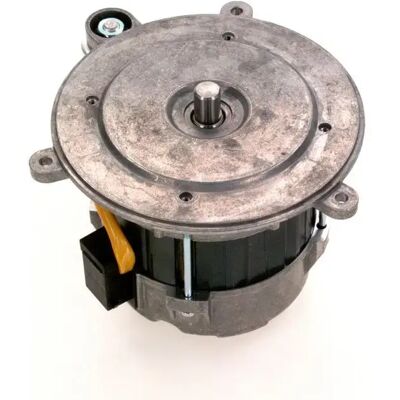 BUDERUS Bosch Motor Hg 170w Everp, 63006865 BUDERUS Bosch Motor Hg 170w Everp, 63006865