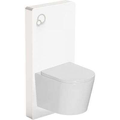 SWISS AQUA TECHNOLOGIES Glass Pack: Bastidor Con Placa De Control Integrada + Inodoro Suspendido Sin Brida Con Tapa Softclose (stglwce14wt01-in) SWISS AQUA TECHNOLOGIES Glass Pack: Bastidor Con Placa De Control Integrada + Inodoro Suspendido Sin Brida Con Tapa Softclose (stglwce14wt01-in)