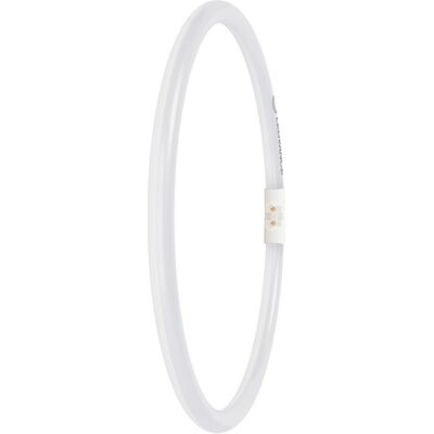 Ledvance Led T5 Fc 40/55 External P, 21.5w, Compatible Con Dali, 4099854300882 Ledvance Led T5 Fc 40/55 External P, 21.5w, Compatible Con Dali, 4099854300882