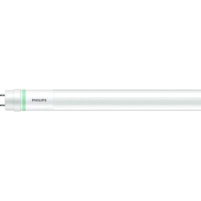 Tubo Led Philips G13 Blanco 23 W 1500 Mm Tubo Led Philips G13 Blanco 23 W 1500 Mm