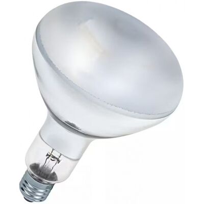 Bailey Electric & Electronics UV27230300F/02 Bombilla Incandescente - Luz UV Bailey Electric & Electronics UV27230300F/02 Bombilla Incandescente - Luz UV