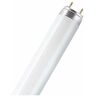 Osram - tubo fluorescente basic L36/865-36W