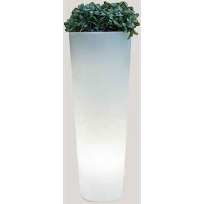 NEWGARDEN Macetero Ficus 80 Cable Exterior Fría Blanco Frío 6500k NEWGARDEN Macetero Ficus 80 Cable Exterior Fría Blanco Frío 6500k