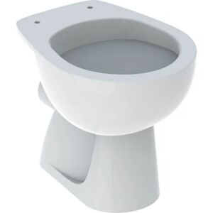 Inodoro empotrado Geberit - 36x53cm Blanco - Higiénico y Elegante Inodoro empotrado Geberit - 36x53cm Blanco - Higiénico y Elegante