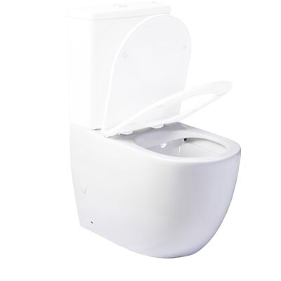 Aquore 00350 Genova Taza Inodoro Rimless Sin Cisterna Sin Tapa Asiento - Ref: 00350 Aquore 00350 Genova Taza Inodoro Rimless Sin Cisterna Sin Tapa Asiento - Ref: 00350