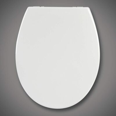 HELLOSHOP26 Asiento De Inodoro Asiento De Inodoro Blanco Bisagra De Cierre Suave Tapa De Inodoro De Liberación Rápida Asiento 190000672 HELLOSHOP26 Asiento De Inodoro Asiento De Inodoro Blanco Bisagra De Cierre Suave Tapa De Inodoro De Liberación Rápida Asiento 190000672