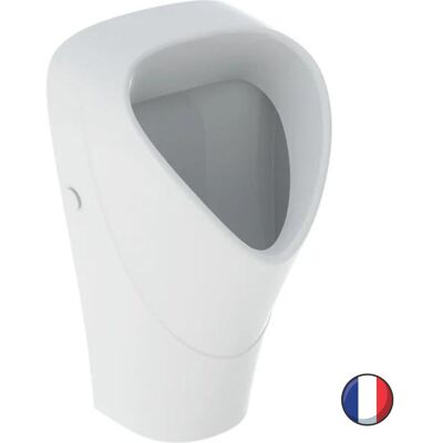 Urinal Trigonal Geberit Renova - Suspendido, Blanco, 33x60x30cm - Urinal Urinal Trigonal Geberit Renova - Suspendido, Blanco, 33x60x30cm - Urinal