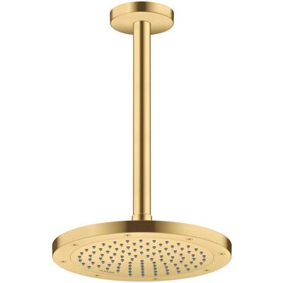 Hansgrohe AXOR Cabezal de ducha 245mm - Lluvia, Ahorro de agua, Oro cepillado Hansgrohe AXOR Cabezal de ducha 245mm - Lluvia, Ahorro de agua, Oro cepillado