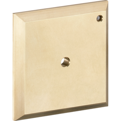 Placa de enjuague manual Hansgrohe iControl - Accesorio de grifo de baño Placa de enjuague manual Hansgrohe iControl - Accesorio de grifo de baño