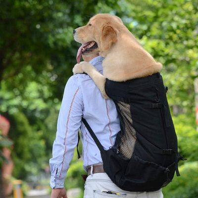 INEASICER Bolsa De Transporte Ajustable De Malla Transpirable Para Cachorros Y Perros, Mochila De Viaje Para Exteriores, Senderismo Y Ciclismo, L, Negra INEASICER Bolsa De Transporte Ajustable De Malla Transpirable Para Cachorros Y Perros, Mochila De Viaje Para Exteriores, Senderismo Y Ciclismo, L, Negra