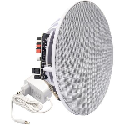 OEM Altavoz De Techo Blanco Hifi Bluetooth 30w 8ω 186mm 12v Cc Activo OEM Altavoz De Techo Blanco Hifi Bluetooth 30w 8ω 186mm 12v Cc Activo