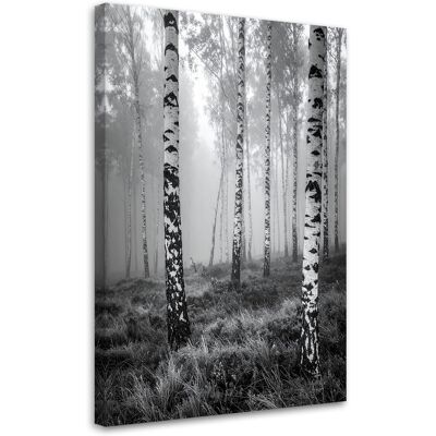 FEEBY Impresión De Imagen, Bosque De Abedules Vista En Blanco Y Negro, 70x100 FEEBY Impresión De Imagen, Bosque De Abedules Vista En Blanco Y Negro, 70x100