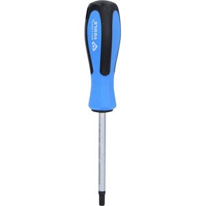 Brilliant Tools - Destornillador Torx, T40 X 100 Mm Brilliant Tools - Destornillador Torx, T40 X 100 Mm