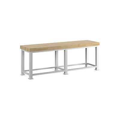 RAU Banco de Trabajo para Cargas Pesadas - 2500x700mm RAU Banco de Trabajo para Cargas Pesadas - 2500x700mm