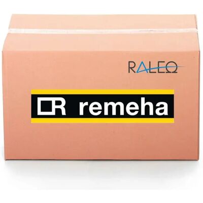 Remeha Motor Simel 300w + Acoplamiento 7787182, 7787182 Remeha Motor Simel 300w + Acoplamiento 7787182, 7787182