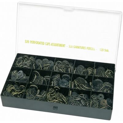 WATTS Finish - Caja De Válvula De Retención Perforada Surtida - 520 Piezas WATTS Finish - Caja De Válvula De Retención Perforada Surtida - 520 Piezas