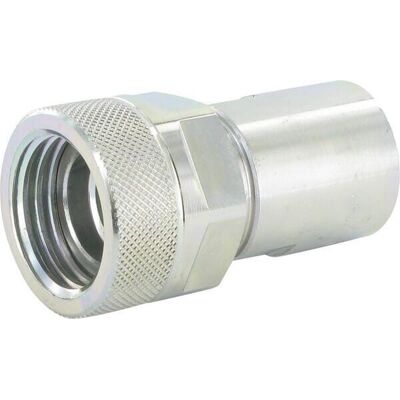 Manguito De Acoplamiento Hembra 3/8" Bsp Faster Vvs38gasf Manguito De Acoplamiento Hembra 3/8" Bsp Faster Vvs38gasf