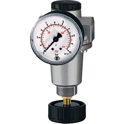 Riegler - Regulador De Presión Estándar Rosca Mm 11,89 Bg I G 1/4 Pulg Riegler - Regulador De Presión Estándar Rosca Mm 11,89 Bg I G 1/4 Pulg