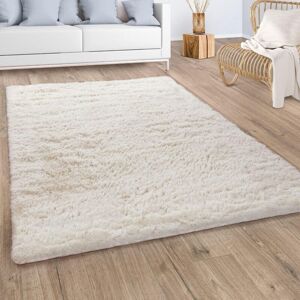 PACO HOME Silky 591 - Alfombra de Pelo Largo PACO HOME Silky 591 - Alfombra de Pelo Largo