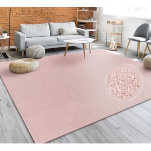 Paco Home - Alfombra Salón Color Liso Discreta Moderna Pelo Corto Varios Colores Y Tamaños 240x340 Cm, Rosa Paco Home - Alfombra Salón Color Liso Discreta Moderna Pelo Corto Varios Colores Y Tamaños 240x340 Cm, Rosa