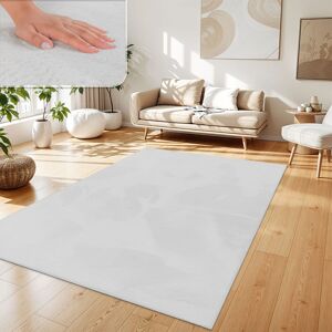 Paco Home - Alfombra Para Salón En Falsa Piel Peluche Pelo Largo Suave Disponible En Varios Colores 200x290 Cm, Blanco Paco Home - Alfombra Para Salón En Falsa Piel Peluche Pelo Largo Suave Disponible En Varios Colores 200x290 Cm, Blanco