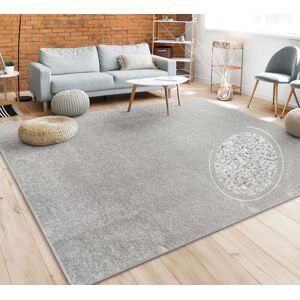 Paco Home - Alfombra Salón Color Liso Discreta Moderna Pelo Corto Varios Colores Y Tamaños 120x170 Cm, Plata Paco Home - Alfombra Salón Color Liso Discreta Moderna Pelo Corto Varios Colores Y Tamaños 120x170 Cm, Plata