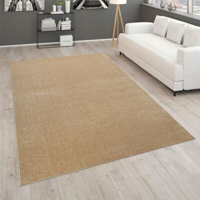Paco Home Alfombra Salón Lisa Pelo Corto Sencilla Moderna Color Dorado Beige Ø 160 Cm Cuadrado Paco Home Alfombra Salón Lisa Pelo Corto Sencilla Moderna Color Dorado Beige Ø 160 Cm Cuadrado