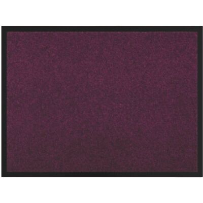 HELLOSHOP26 Felpudo Rectangular Absorbente Y Antideslizante 60 X 40 X 1.2 Cm De Tejido Teddy Burdeos 020059006 HELLOSHOP26 Felpudo Rectangular Absorbente Y Antideslizante 60 X 40 X 1.2 Cm De Tejido Teddy Burdeos 020059006