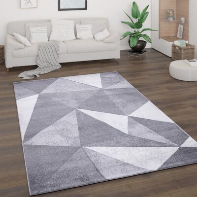 Paco Home Alfombra Salón Pelo Corto Motivo Vintage Abstracto Moderno Geométrica A Rombos 160x220 Cm, Gris Paco Home Alfombra Salón Pelo Corto Motivo Vintage Abstracto Moderno Geométrica A Rombos 160x220 Cm, Gris