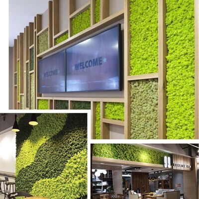 OEM Musgo Eterno, Musgo Verde, Decoración De Micro Paisajes, Musgo Artificial, Decoración Verde, Musgo De Reno Preservado, Musgo Decorativo Para Bricolaje, Musgo Natural, Musgo Seco, Musgo I-crezuo OEM Musgo Eterno, Musgo Verde, Decoración De Micro Paisajes, Musgo Artificial, Decoración Verde, Musgo De Reno Preservado, Musgo Decorativo Para Bricolaje, Musgo Natural, Musgo Seco, Musgo I-crezuo