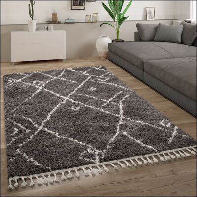 Paco Home Alfombra Salón Pelo Largo Shaggy Escandinava Flecos Mullida Moderna 240x340 Cm, Antracita 2 Paco Home Alfombra Salón Pelo Largo Shaggy Escandinava Flecos Mullida Moderna 240x340 Cm, Antracita 2