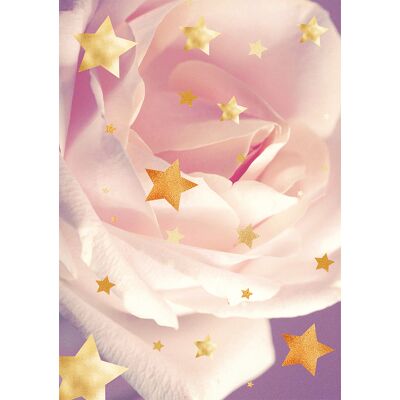 Privatefloor - Alfombra Grande Infantil Con Diseño De Estrella Floral - Rosa (290x200 Cm) - Alvi Privatefloor - Alfombra Grande Infantil Con Diseño De Estrella Floral - Rosa (290x200 Cm) - Alvi