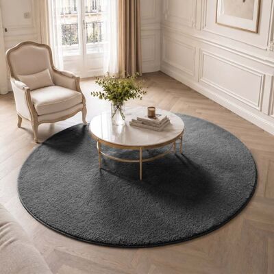 Vounot® Alfombra Moderna Para Salón Ф160cm, Antracita Vounot® Alfombra Moderna Para Salón Ф160cm, Antracita